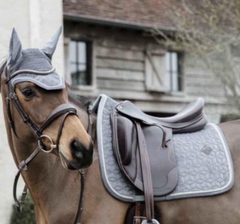 Saddle Pad Care and Maintenance: Tips for a Longer Lifespan - Active Equine