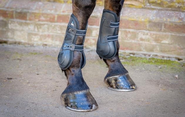 Show Jumping Horse Boots | A Review Of Each Style From PEI - Active Equine