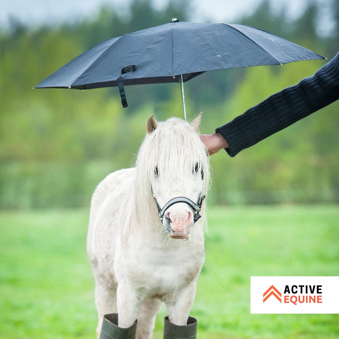 Winter Horse Rug Care Guide - Active Equine