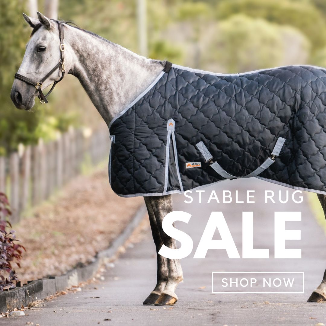Stable Rug Sale