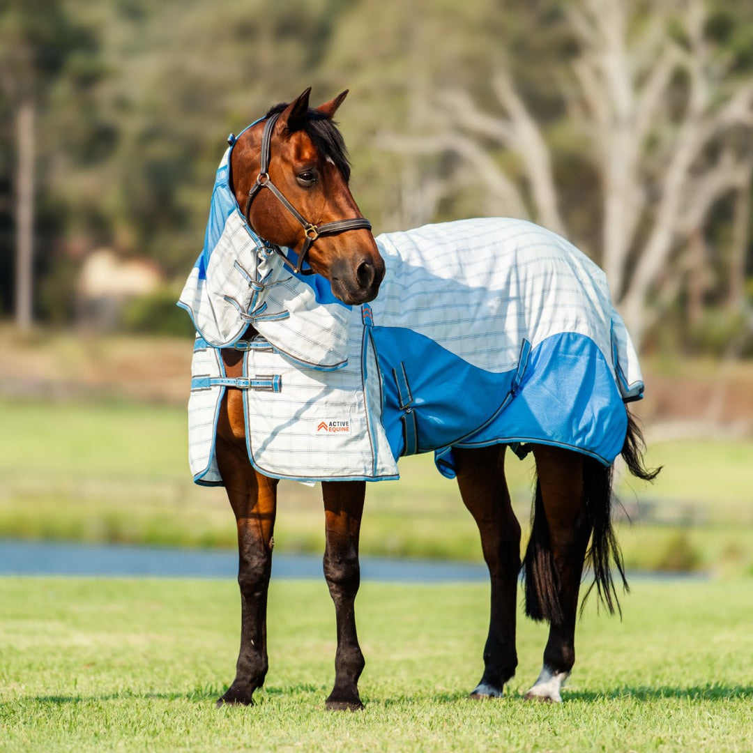 Horse Riding Equipment - Horse Riding Gear Online -Active Equine