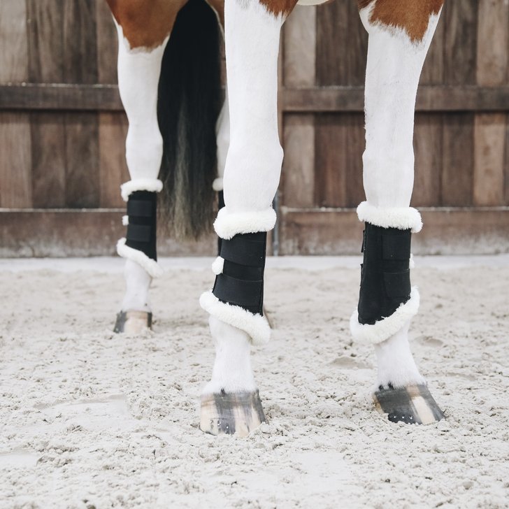 Brushing Horse Boots - Active Equine