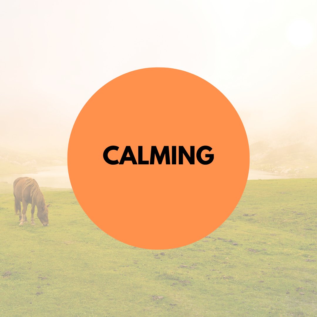 Calming - Active Equine