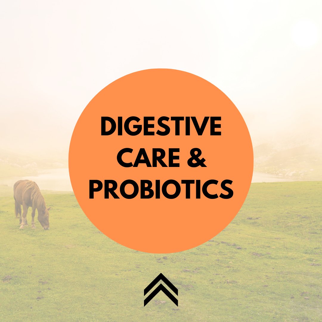 Digestive Care & Probiotics - Active Equine