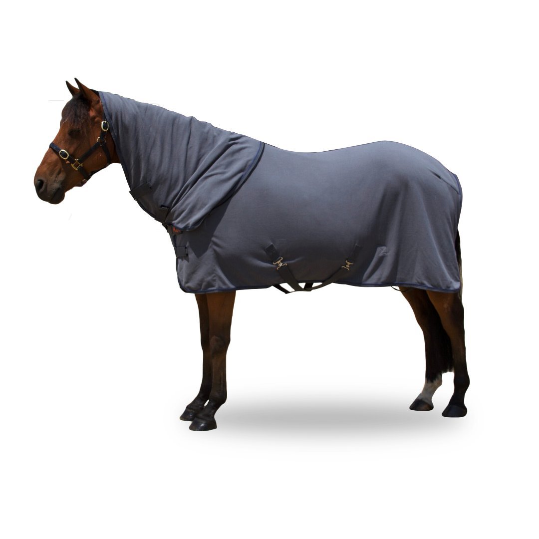 Fleece lined horse rugs - Australian Online Saddlery