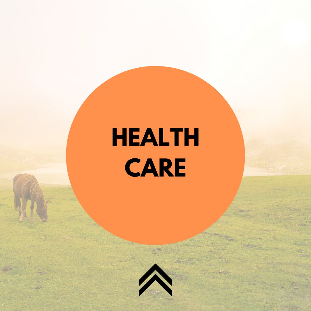 Health Care - Active Equine