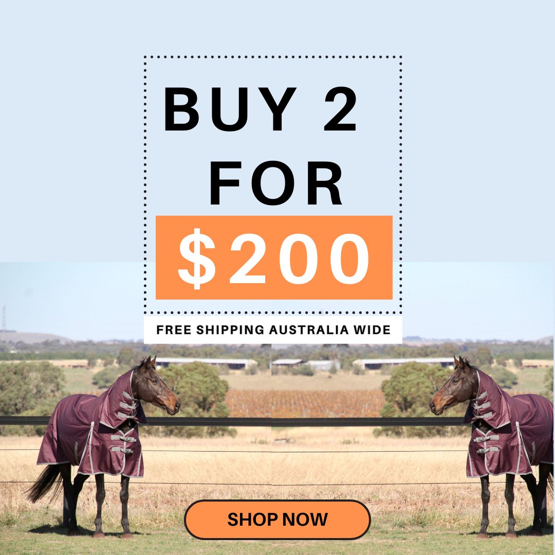 HM Combo Rug Deal - 2 for $200 - Active Equine