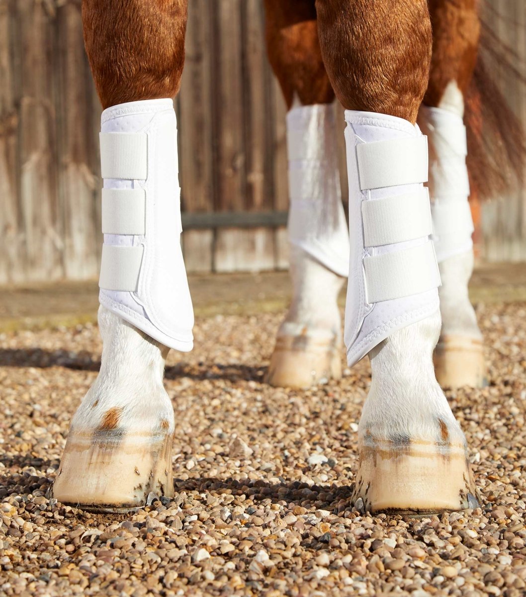 Boots For Horses - brushing horse boots - Fly Boots For Horses - Active Equine