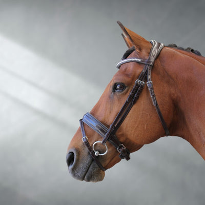 anatomical jumping bridles online - Active Equine