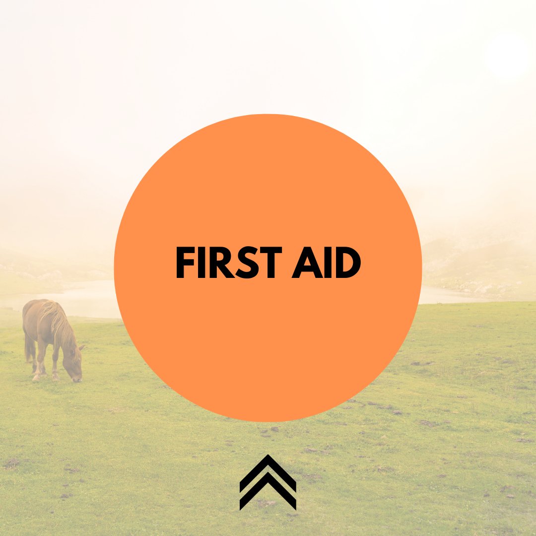 Horse First Aid - Active Equine