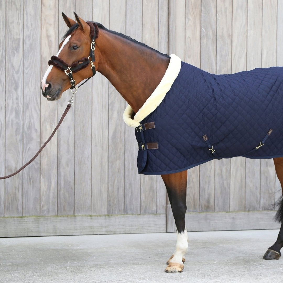 horse rugs online - horse rugs for sale - horse rugs afterpay - winter horse rugs - rain sheets for horses - horse fleece rug - Active Equine