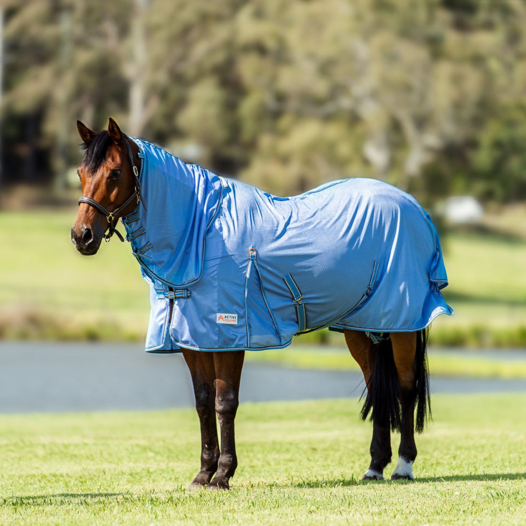 Mesh Horse Rugs | Active Equine