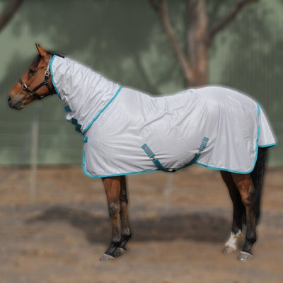 Mesh Horse Rugs | Active Equine