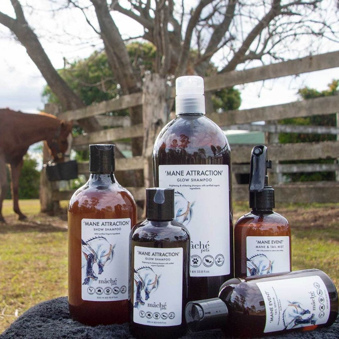 Plaiting horse mane and horse hair presentation - Active Equine