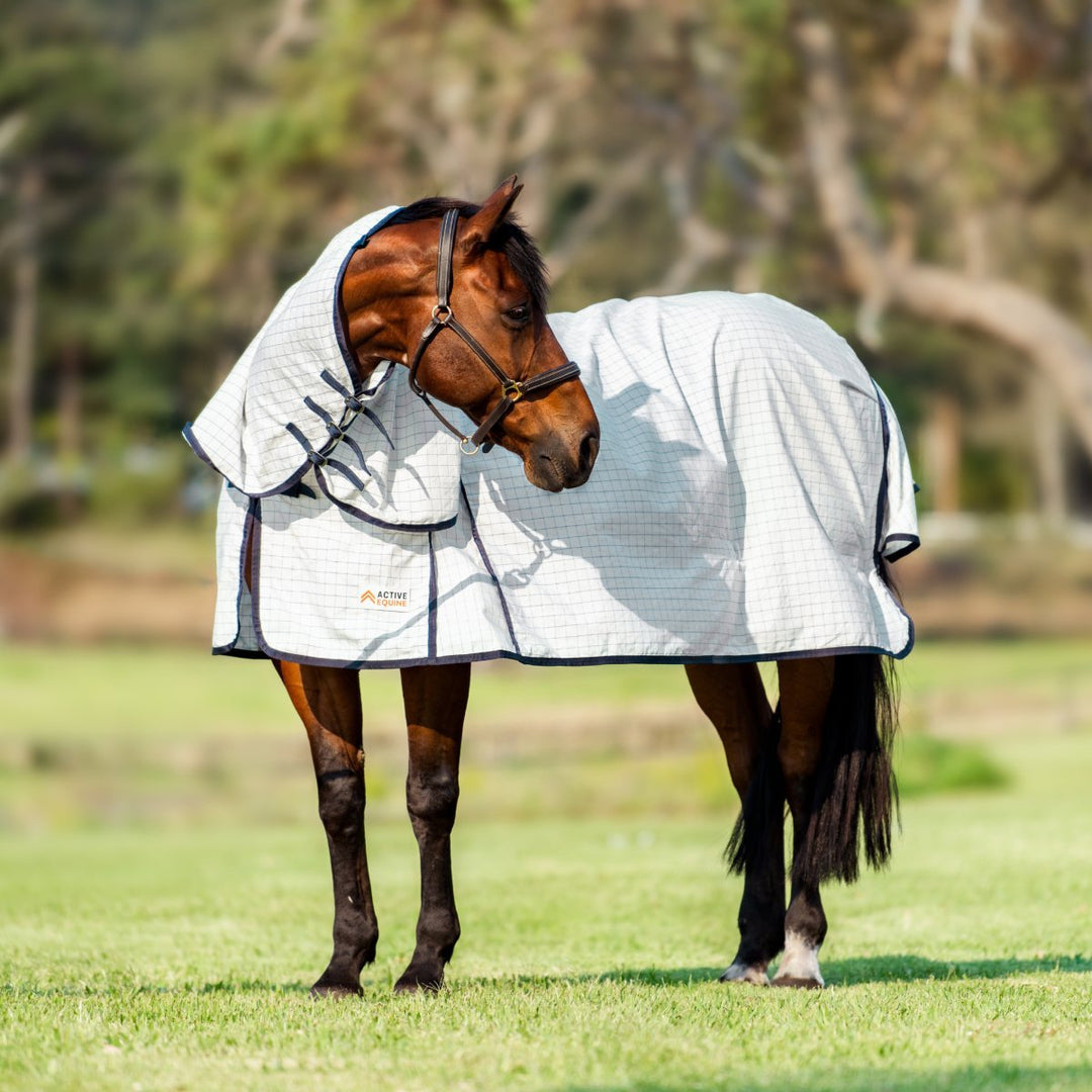 Ripstop Rugs - Active Equine