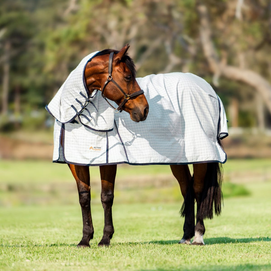 Horse Rugs For Sale | Horse Rugs Online – Active Equine
