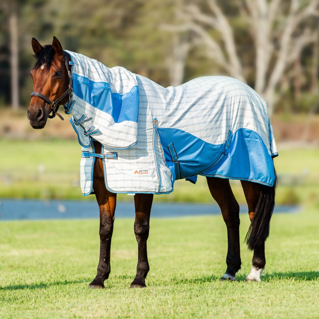 Summer Horse Rugs & Horse Fly Masks - Fly Masks For Horses - Summer Horse Rugs - Horse Fly Sheet - Active Equine