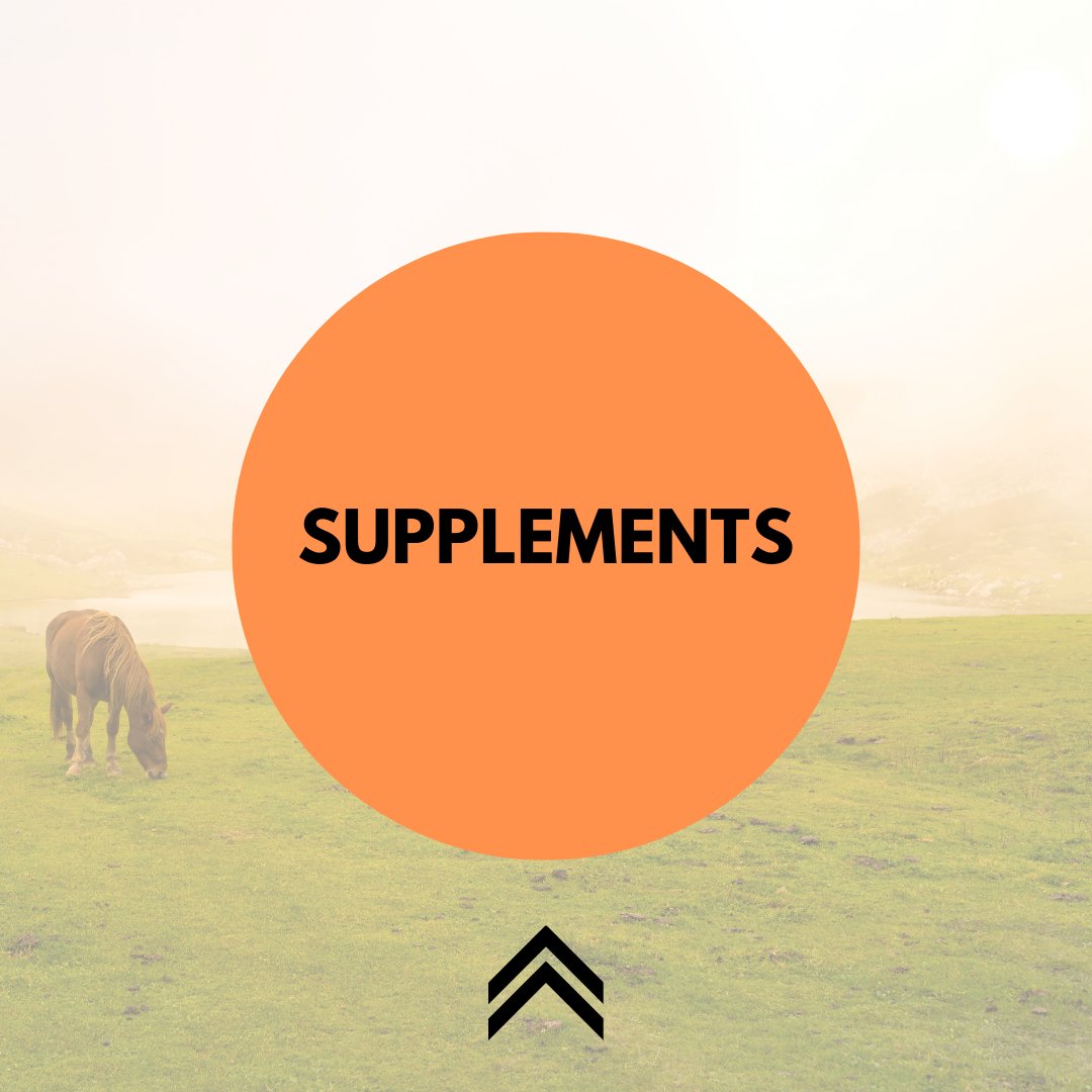 Supplements - Active Equine