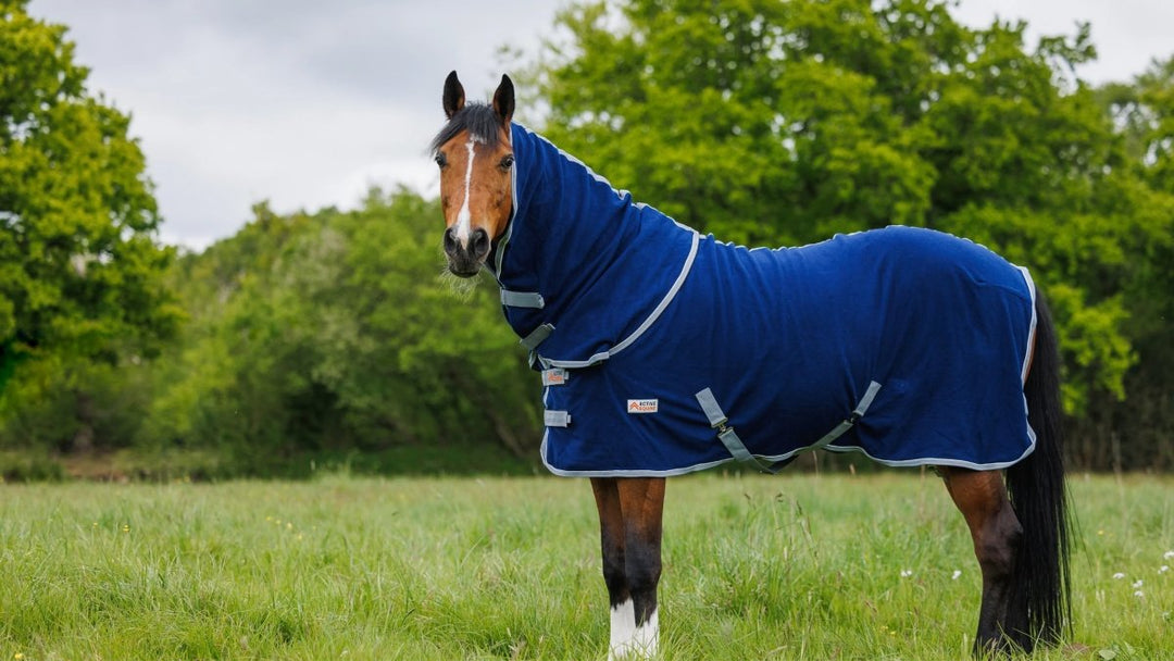 Winter Sale - Active Equine