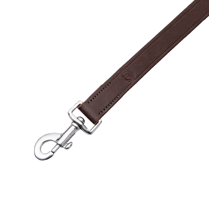 Syd Hill Standing Head Check - Active Equine