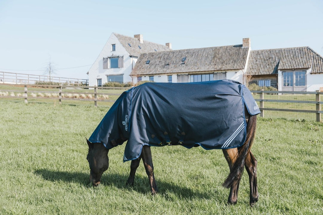 0g Neck Rug All Weather Turnout Waterproof Comfort | Kentucky - Active Equine