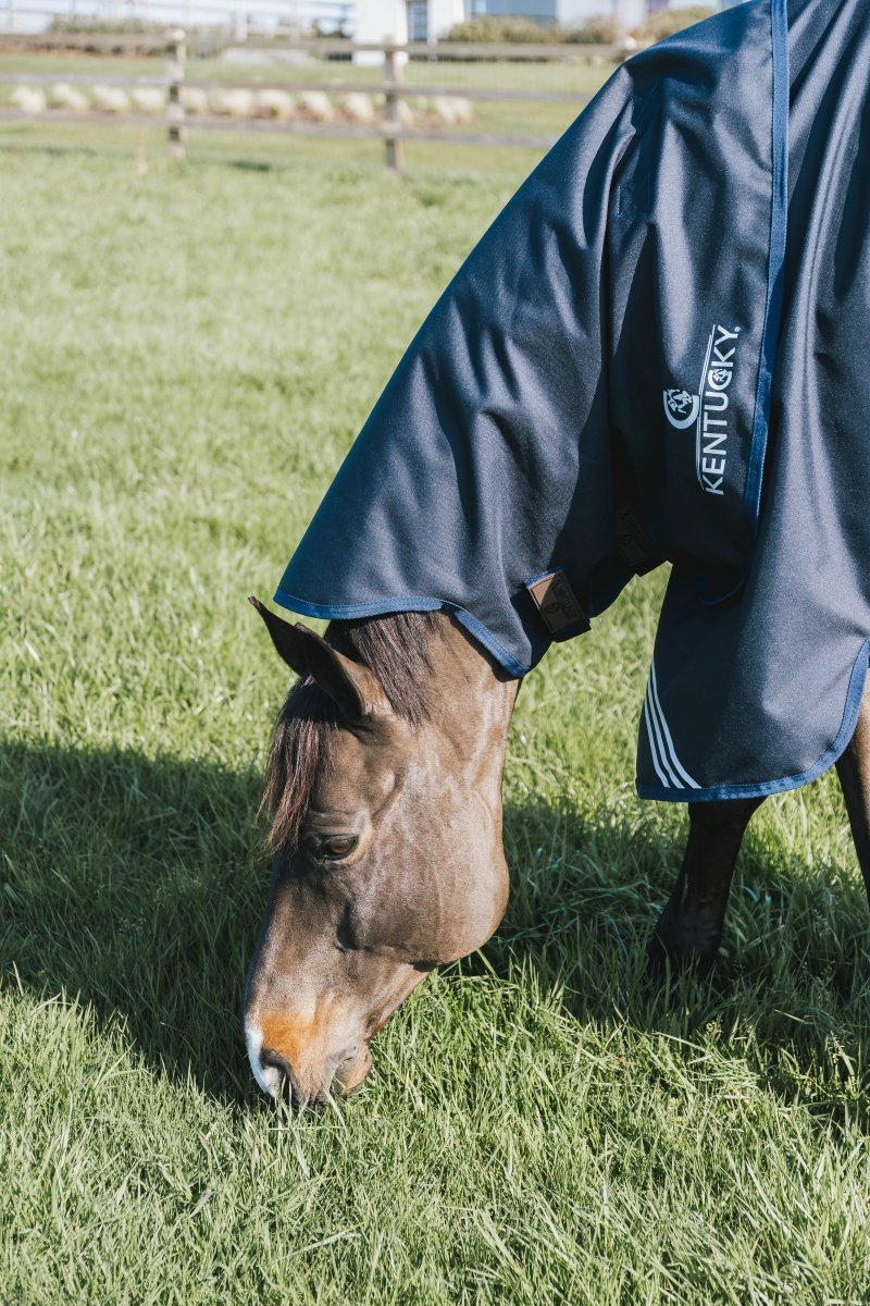 0g Neck Rug All Weather Turnout Waterproof Comfort | Kentucky - Active Equine