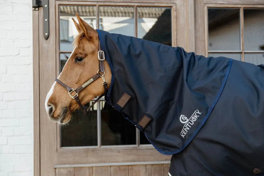 0g Neck Rug All Weather Turnout Waterproof Comfort | Kentucky - Active Equine