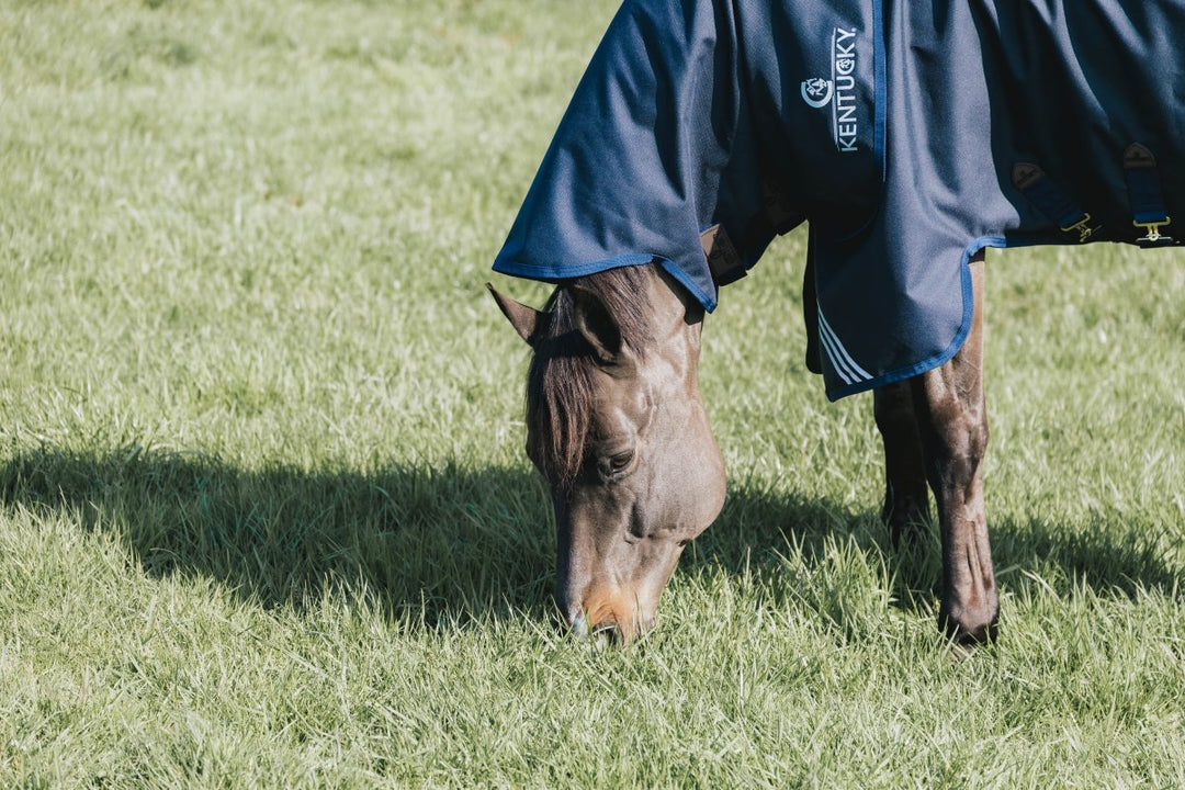 0g Neck Rug All Weather Turnout Waterproof Comfort | Kentucky - Active Equine