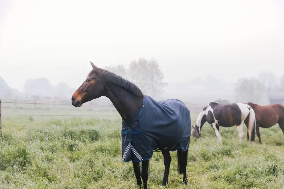 0g Turnout Rug All Weather Waterproof Comfort | Kentucky - Active Equine