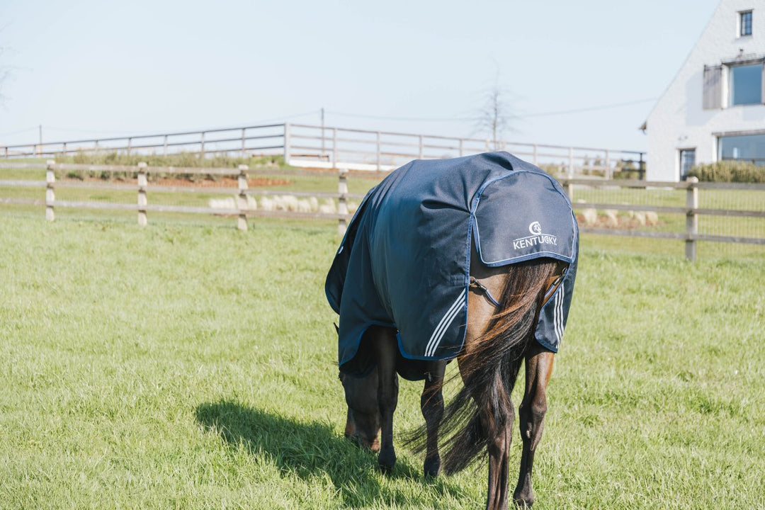 0g Turnout Rug All Weather Waterproof Comfort | Kentucky - Active Equine