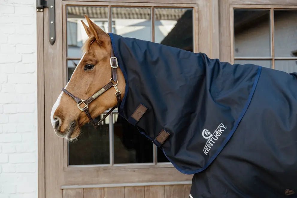 100g Neck Rug All Weather Turnout Waterproof Comfort | Kentucky - Active Equine