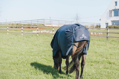 100g Turnout Rug All Weather Waterproof Comfort | Kentucky - Active Equine