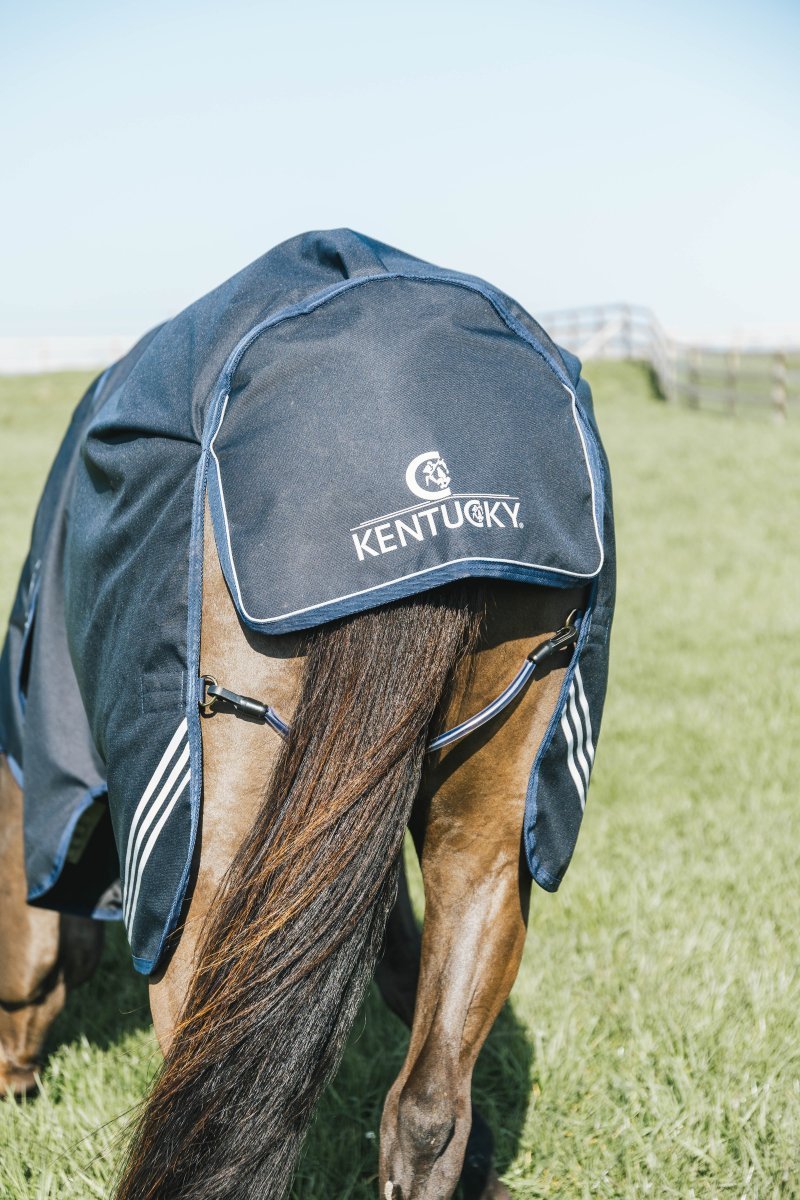 100g Turnout Rug All Weather Waterproof Comfort | Kentucky - Active Equine