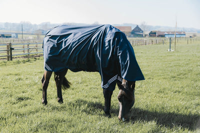 100g Turnout Rug All Weather Waterproof Comfort | Kentucky - Active Equine