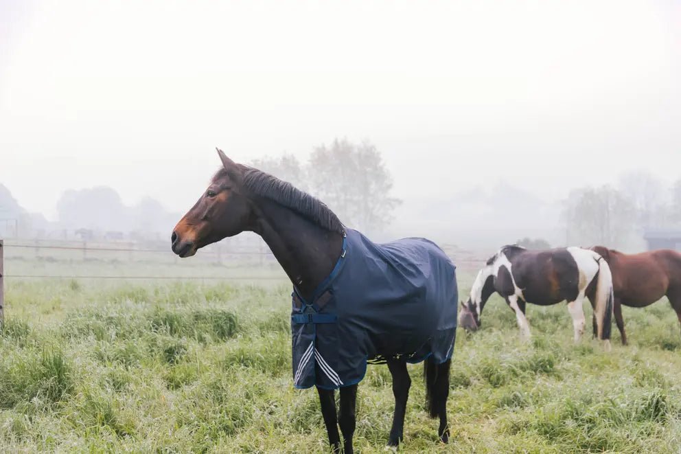 100g Turnout Rug All Weather Waterproof Comfort | Kentucky - Active Equine