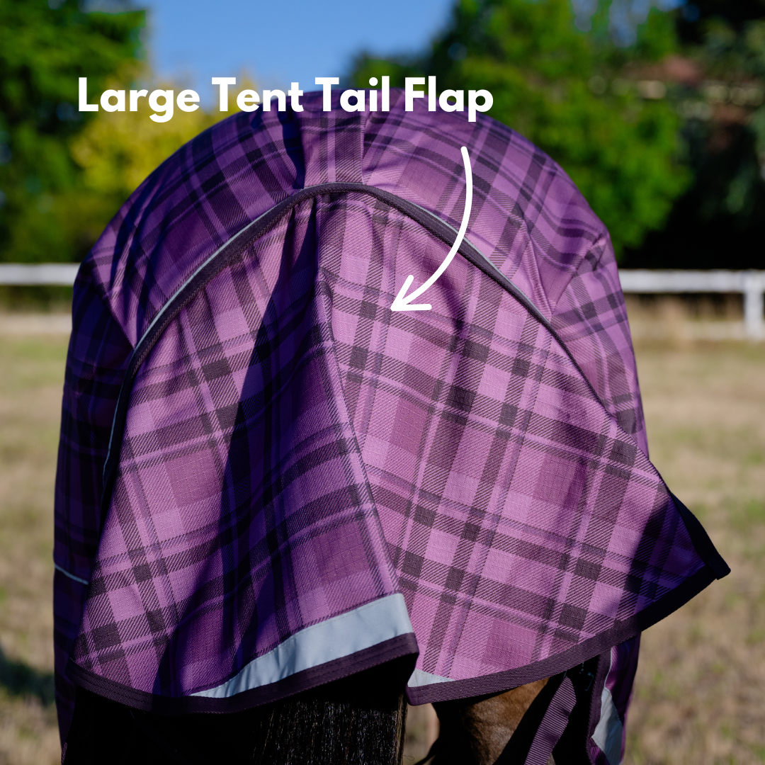 AE Freedom Detach-a-neck Combo 50g - Active Equine