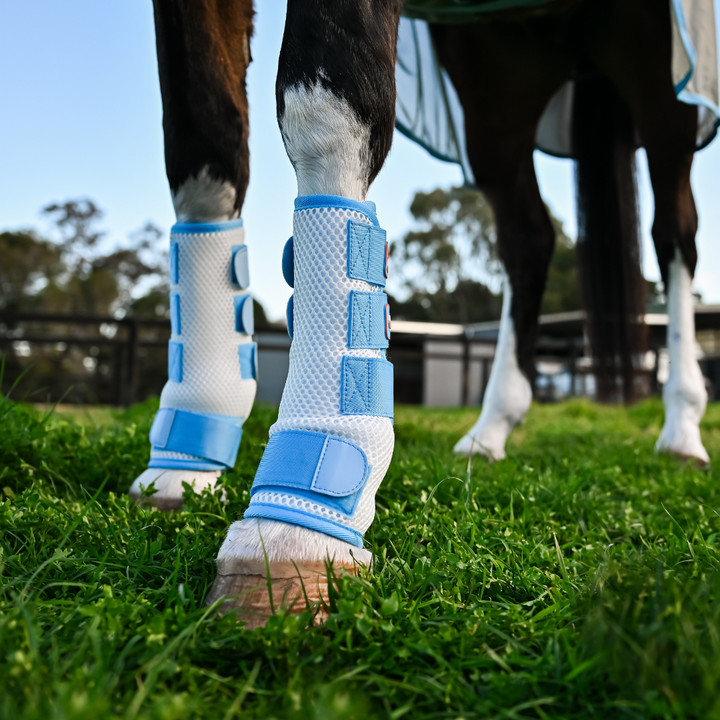 AeroMax Fly Mesh Horse Boots (set of 2)