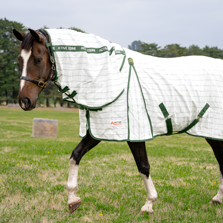 AE Deluxe High Gusset Detachable Neck Ripstop Combo