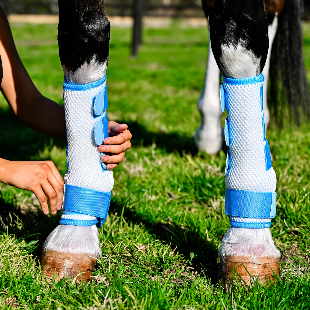 AeroMax Fly Mesh Horse Boots (set of 2)