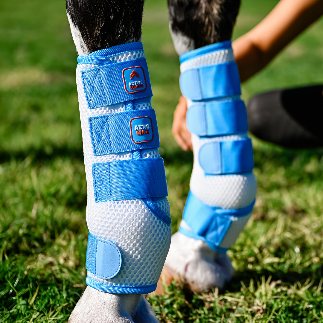 AeroMax Fly Mesh Horse Boots (set of 2)