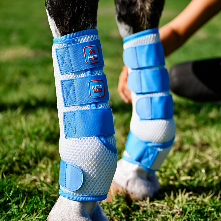 AeroMax Fly Mesh Horse Boots (set of 2)