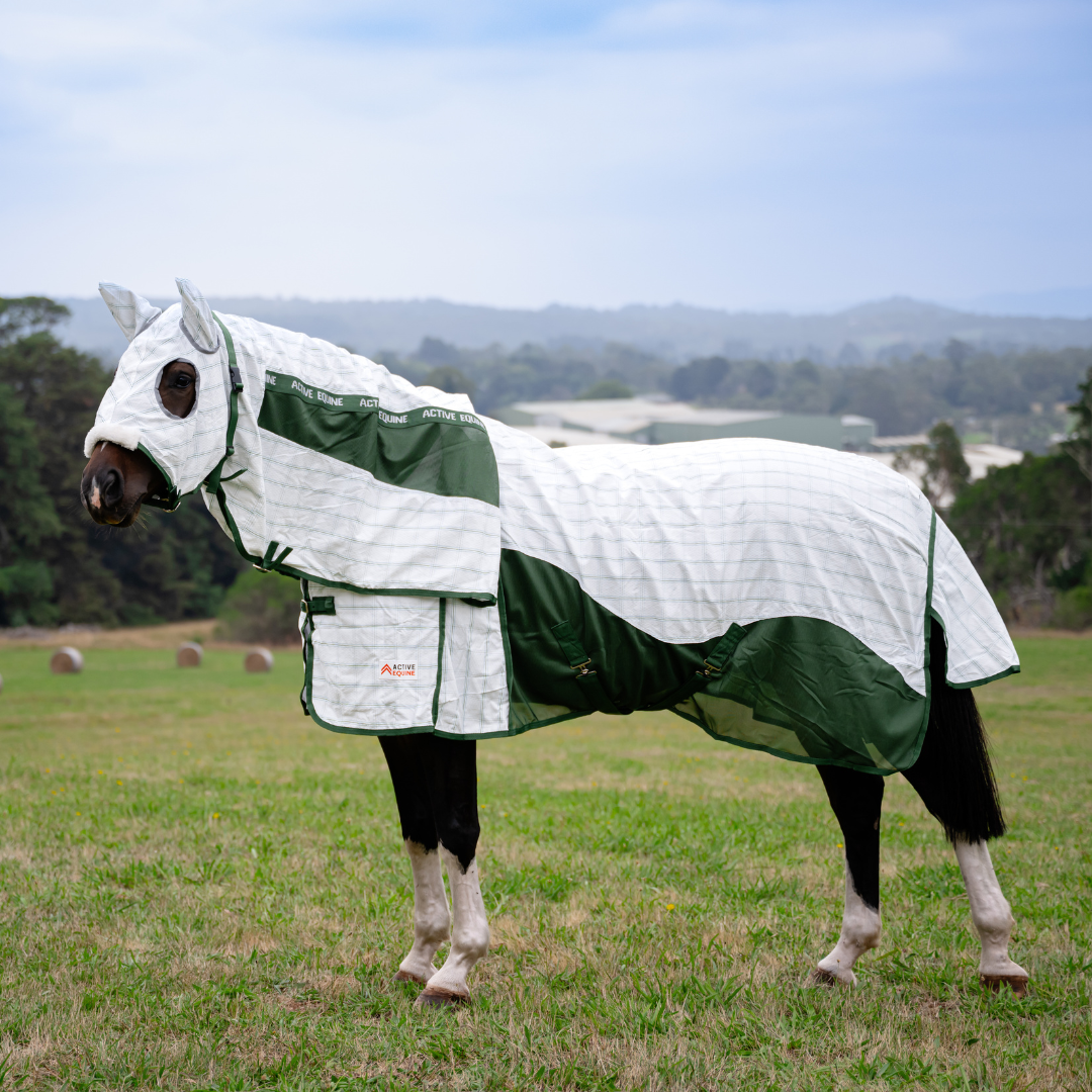 AE Deluxe High Gusset Hooded Hybrid Ripstop Combo