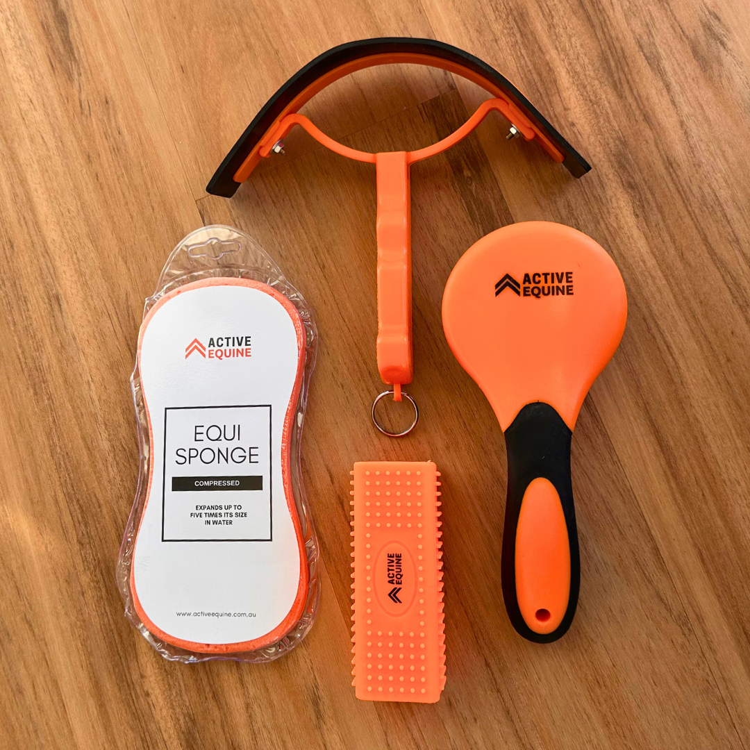 AE Stable Pro Grooming Kit