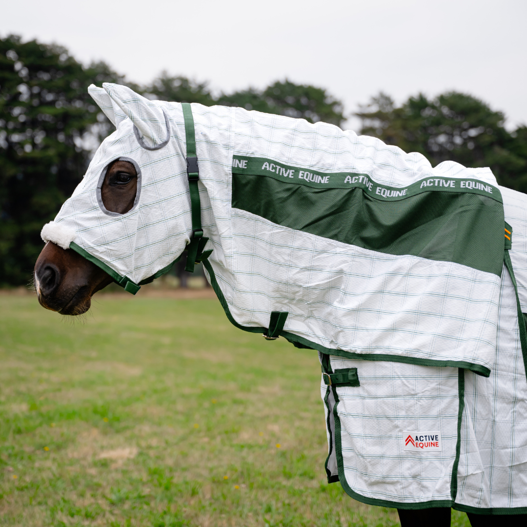 AE Deluxe High Gusset Hooded Hybrid Ripstop Combo