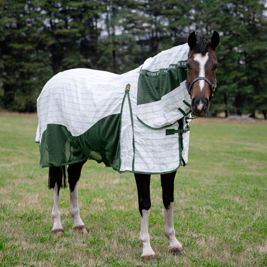 AE Deluxe High Gusset Hybrid Ripstop Combo