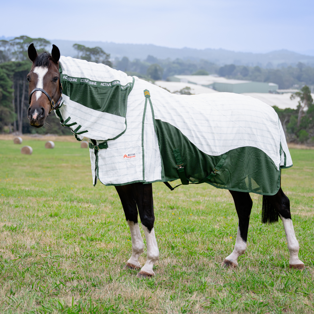 AE Deluxe High Gusset Hybrid Ripstop Combo - Active Equine