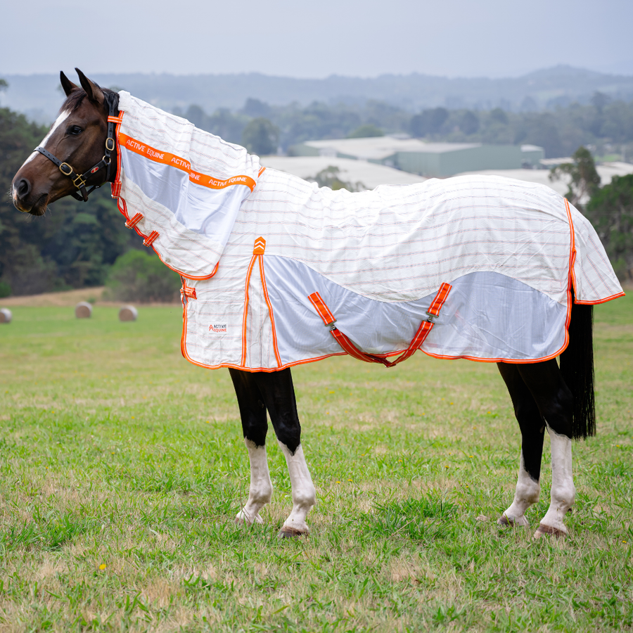 AE Deluxe Hybrid Combo (Orange) - Active Equine