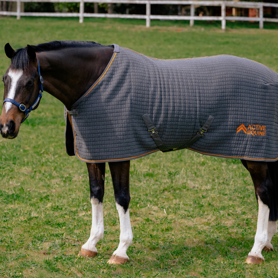 Thermotex Horse Rug (Grey) | Active Equine - Active Equine