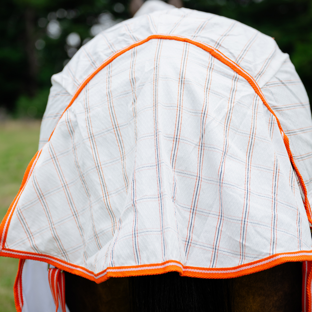 AE Deluxe Hybrid Combo (Orange) - Active Equine