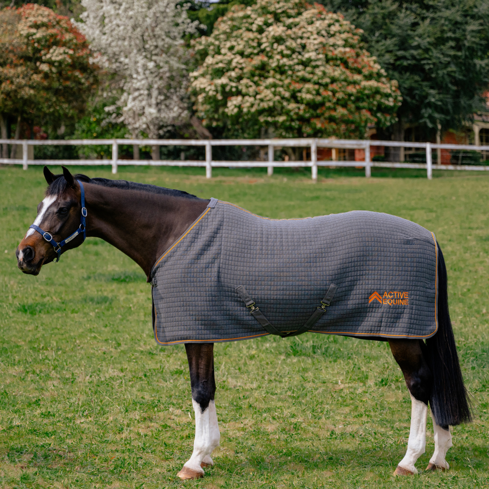 Thermotex Horse Rug (Grey) | Active Equine - Active Equine